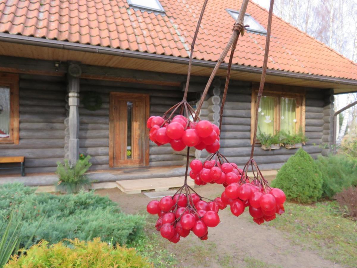 Guest House Leveri Valgalciems Zewnętrze zdjęcie
